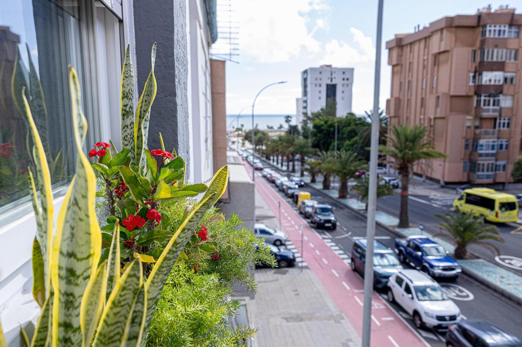 Bambu Suites Vegueta Alquiler Por Habitacion Las Palmas de Gran Canaria Exterior photo