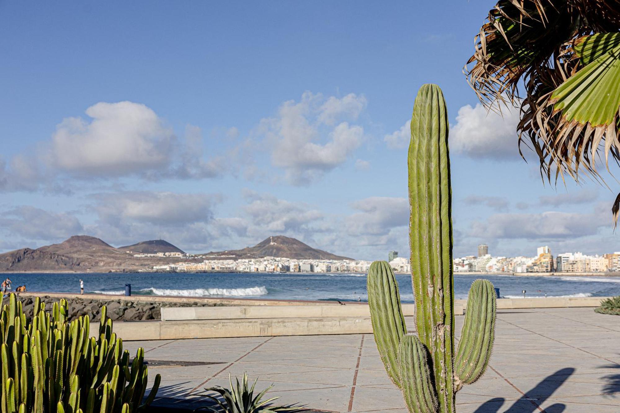 Bambu Suites Vegueta Alquiler Por Habitacion Las Palmas de Gran Canaria Exterior photo